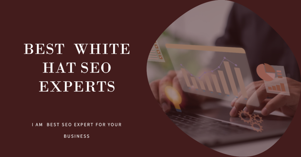 Best White Hat SEO Expert