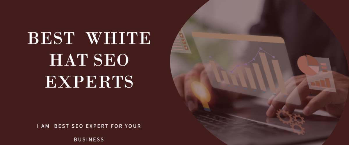 Best White Hat SEO Expert